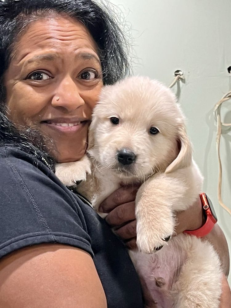 Kings County Kennels Image