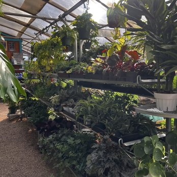 Jericho Nursery - Nurseries & Gardening Near Me - Albuquerque, New Mexico