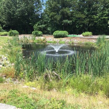 Lynnhaven Golf Park - Water feature - Golf Near Me - Virginia Beach, Virginia