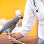 Photo of Campus Estates Animal Hospital