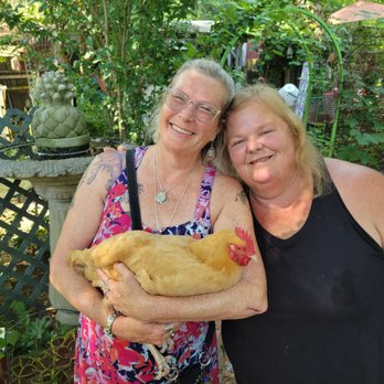 Dory's Gardens - Hold Joan brings a smile and peace inside your heart - Flowers & Gifts Near Me - Tyler, Texas Dory's Gardens - Hold Joan brings a smile and peace inside your heart - Flowers & Gifts Near Me - Tyler, Texas