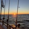 Island Current Fleet gift card