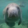 Photo of Cocoa Beach Eco Tours