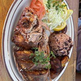 Red Snapper