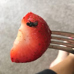 Vons - Careful what prepared foods you buy at Von's! This was in the fruit bowl I purchased today. Ew!!!!!