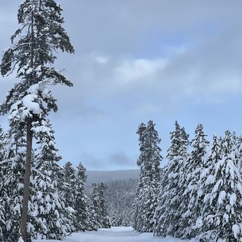Highmark Rentals - ATV Rentals/Tours Near Me - West Yellowstone, Montana Highmark Rentals - ATV Rentals/Tours Near Me - West Yellowstone, Montana