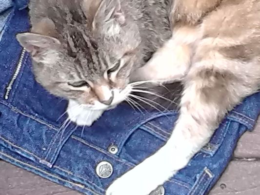 Sandy's Sign & Design