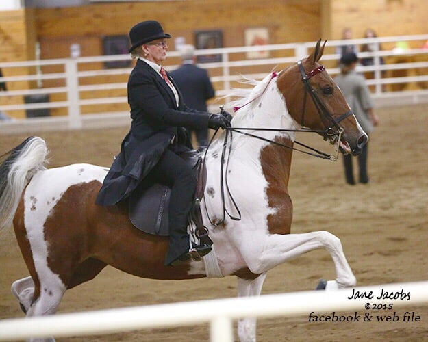 The Stables at Greenfield Farm - equestrian in Maple Lake, MN