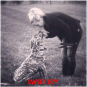 Paws & Claws Urbana - Benny boo :) - Dog Walkers Near Me Paws & Claws Urbana - Benny boo :) - Dog Walkers Near Me