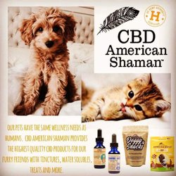 CBD American Shaman Omaha at Armbrust - We have a variety of treats, oil tincture, and canine water soluble!