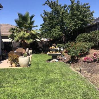 JD Landscaping Services - Photo after weeds were removed and grass re-seeded. - Landscaping Near Me JD Landscaping Services - Photo after weeds were removed and grass re-seeded. - Landscaping Near Me