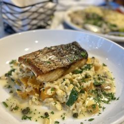 Vivace - Rockfish with butternut risotto