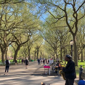 Central Park Conservancy - Parks Near Me - New York, New York