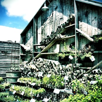 Terrain - Herb display at the nursery. - Nurseries & Gardening Near Me - Glen Mills, Pennsylvania