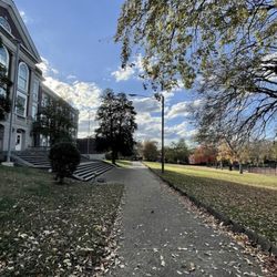 Elmington Park