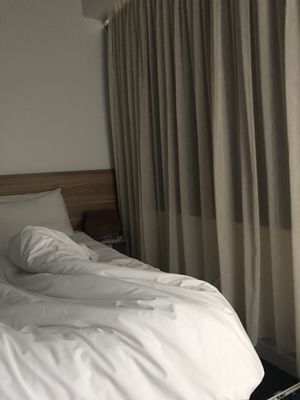 Ascotia Off Queen by null