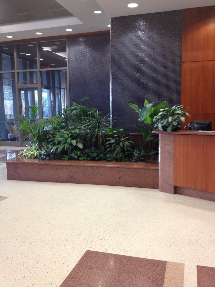 HOCK PLAZA Updated September 2024 2424 Erwin Rd, Durham, North