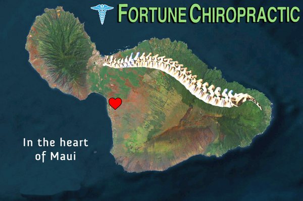 Fortune Chiropractic