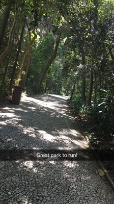 Parque Trianon by null
