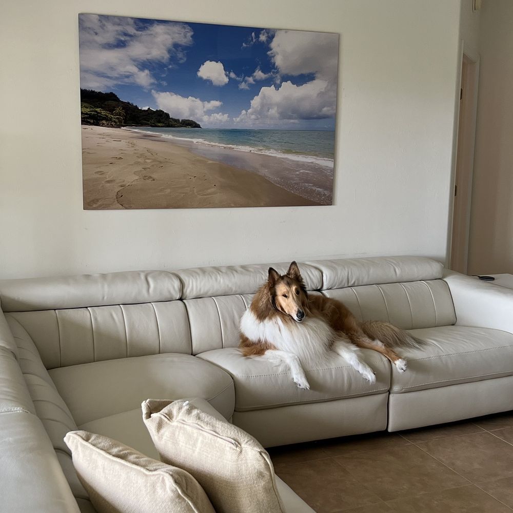 TOP 10 BEST Leather Furniture in Naples, FL - Updated 2026 - Yelp, image size:1000x1000