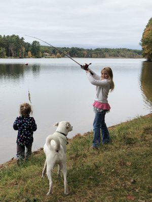 Wells State Park by null