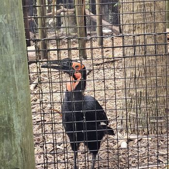 Palm Beach Zoo - Zoos Near Me - West Palm Beach, Florida