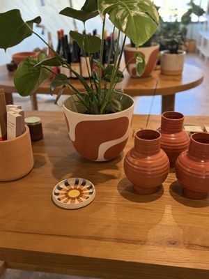 Flourish Plant Shop & Wine Bar by null