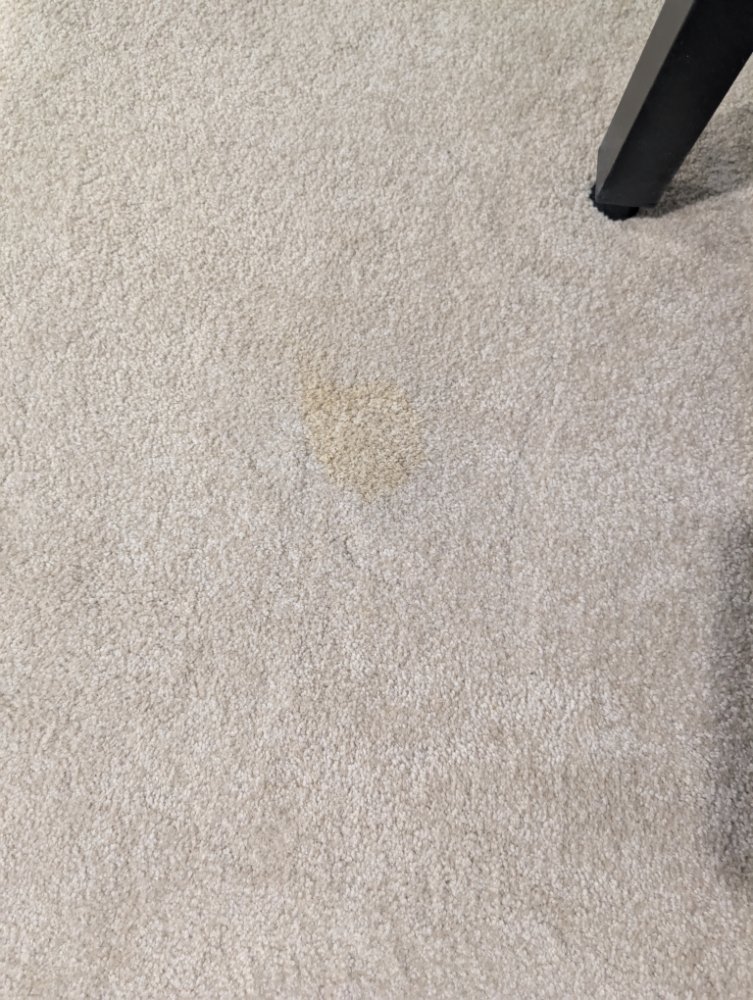 Slide of Alex maintenance