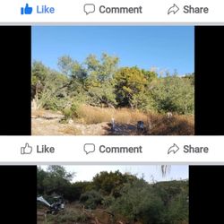 BTM Services - Clearing lot for home