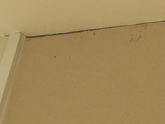 Meliá Paulista by null