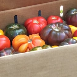 Serendipity Farms - Gorgeous organic heirlooms from Carmel Valley