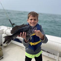 Mighty Heron Charters - Big Black Sea bass