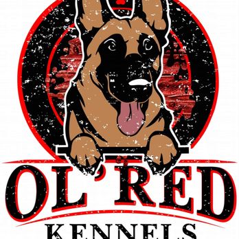 Ol' Red Kennels - Ol' Red's Logo - Pet Training Near Me - Waynesboro, Georgia Ol' Red Kennels - Ol' Red's Logo - Pet Training Near Me - Waynesboro, Georgia