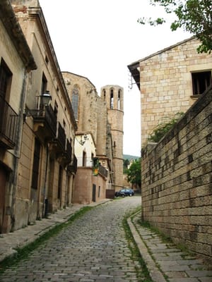 Monastery of Pedralbes by null