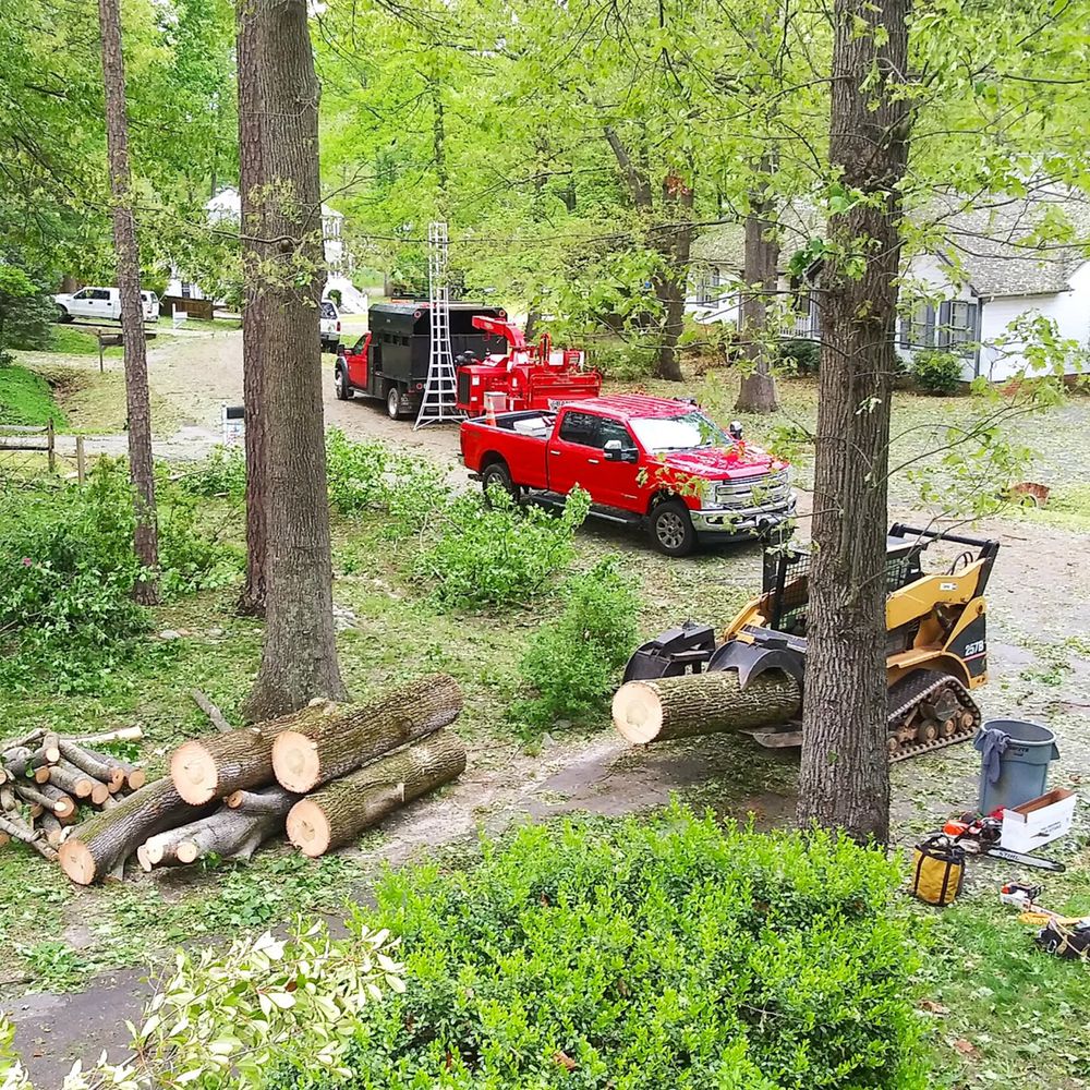 CUNNINGHAM’S TREE & LANDSCAPE 11 Photos Rochelle, VA Yelp