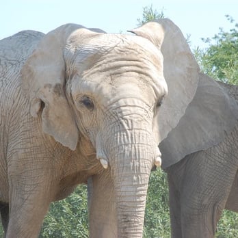 Toronto Zoo - Zoos Near Me - Toronto, Ontario Toronto Zoo - Zoos Near Me - Toronto, Ontario