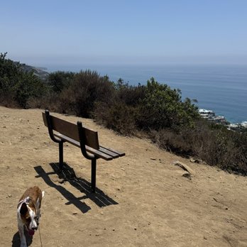 Valido Trail - The top - Hiking Near Me - Laguna Beach, California