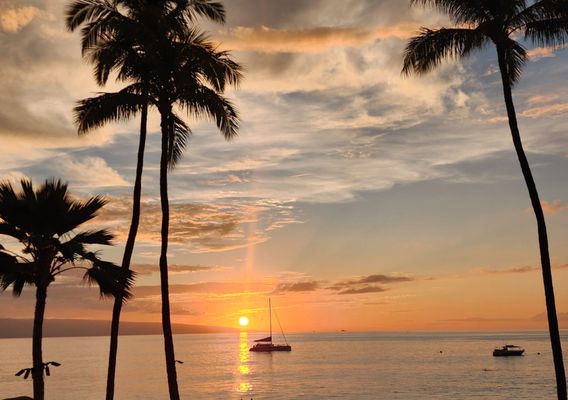 The Westin Maui Resort & Spa, Ka'anapali by null