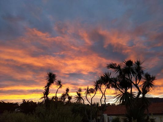 Mission Ranch Restaurant by null