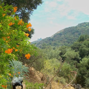 Cafe on 27 - View - Breakfast & Brunch Near Me - Topanga, California
