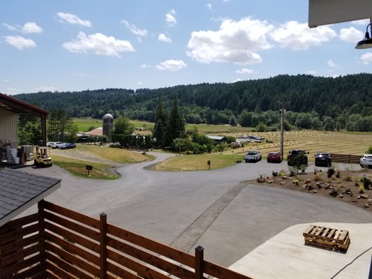 Patricia Green Cellars by null