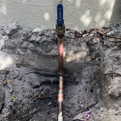 Professional Plumbing & Poo Services