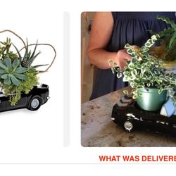 Cornerstone Flowers - What I ordered vs. what was delivered
