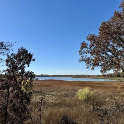 Dick Young Forest Preserve - Nelson Lake