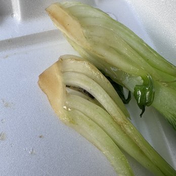 Hong Kong BBQ - Bok Choy is dirty - Chinese Near Me - Chamblee, Georgia