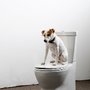 Photo of Reeves Family Plumbing