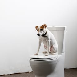 Reeves Family Plumbing