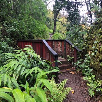 Makiki Valley Trail - Cutest bridge - Hiking Near Me - Honolulu, Hawaii