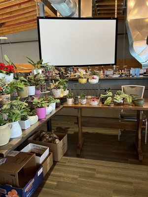 SoBro Farmers Market by null