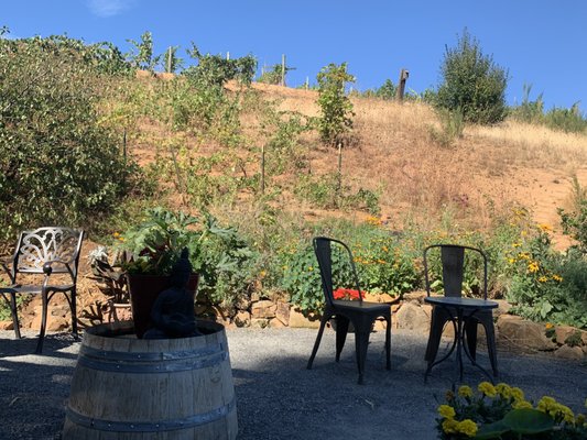 AniChe Cellars by null